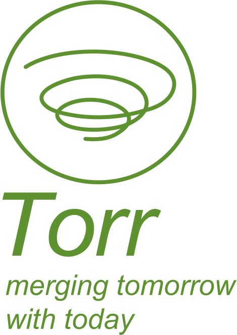 Torr India